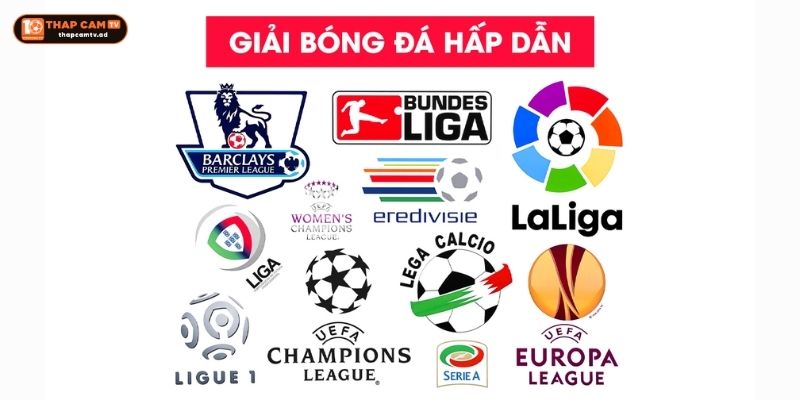 Các Giải Đấu Bóng Đá Các Giải Đấu Bóng Đá
